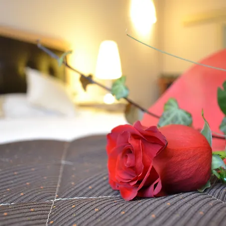 Master Hotell